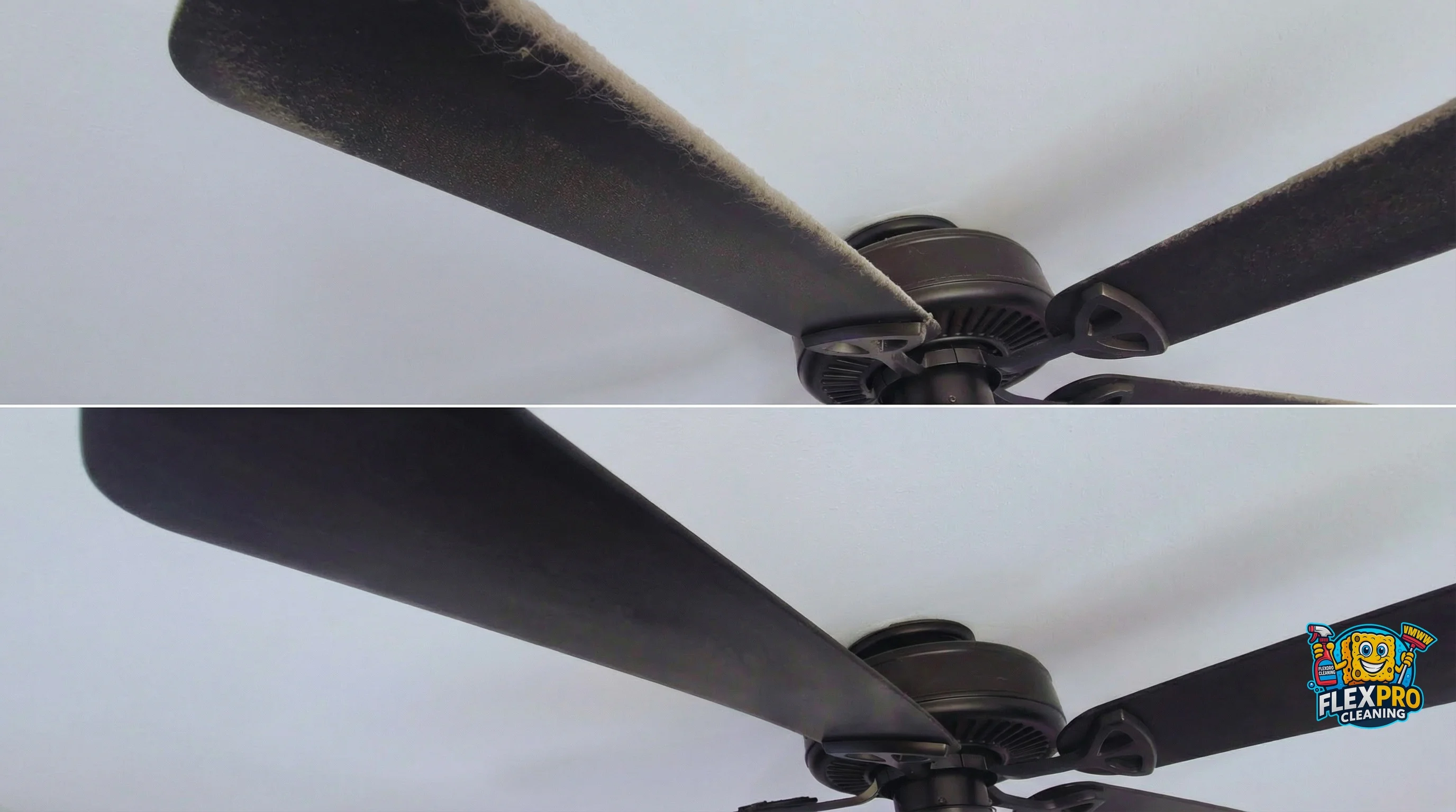 Clean kitchen after professional cleaning